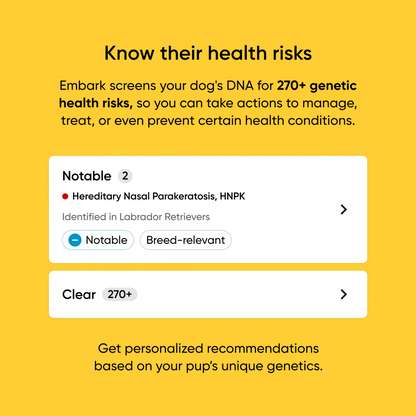 Embark Dog DNA Test