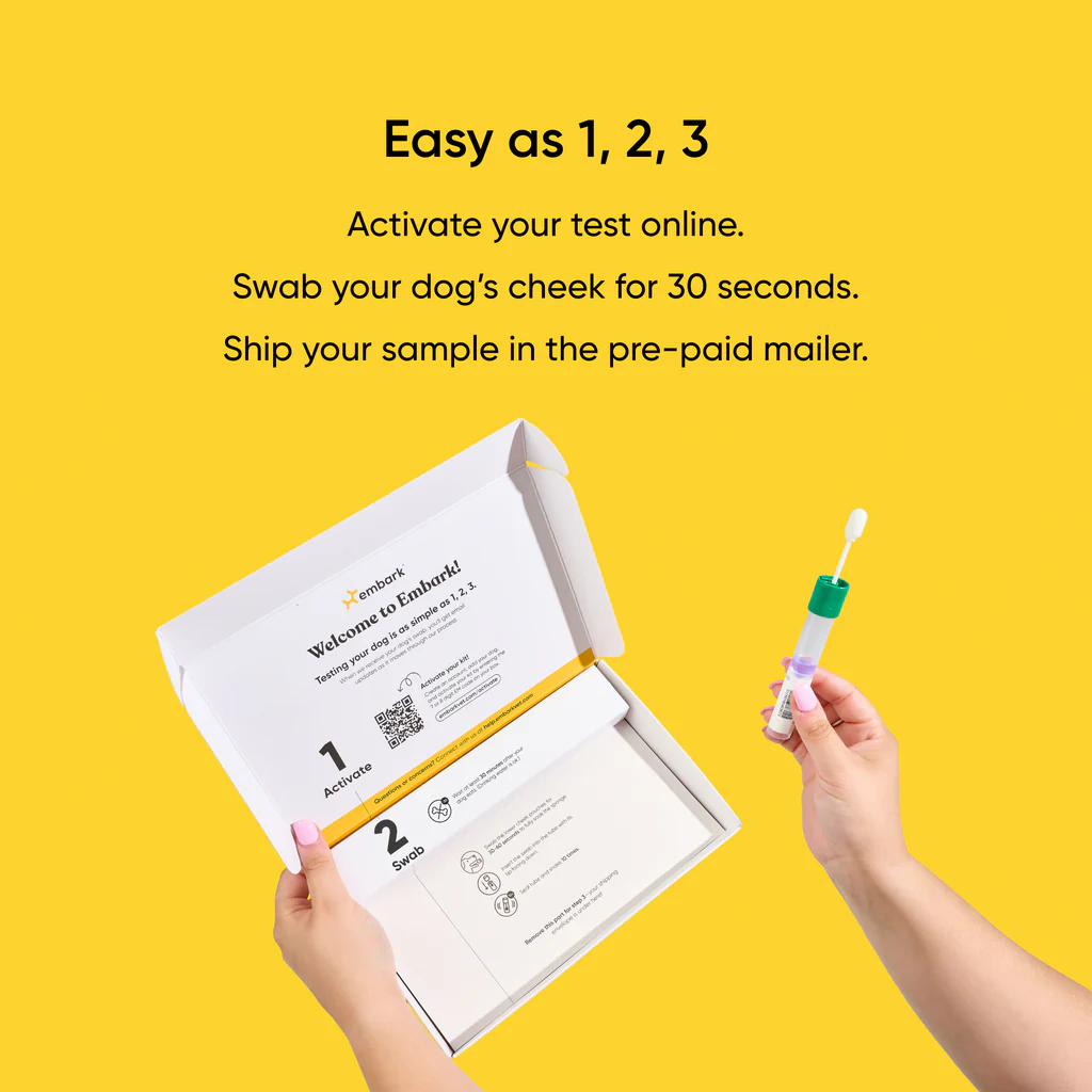 Embark Dog DNA Test